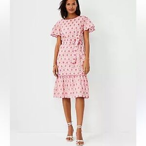 Ann Taylor Broderie Anglaise Dress